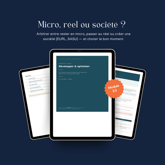 Module 3.3 — Micro, réel ou société ?